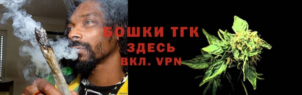 гашик Бородино