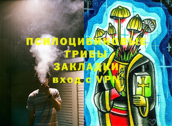 гидра Бугульма