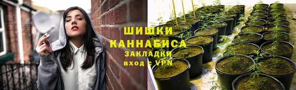 гашик Бородино