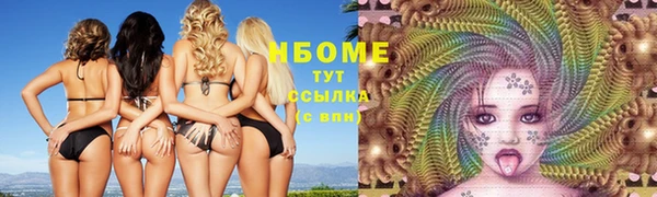 гашик Бородино