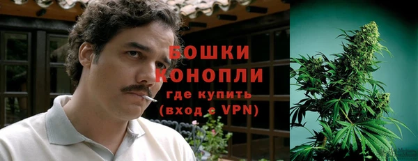 гидра Бугульма