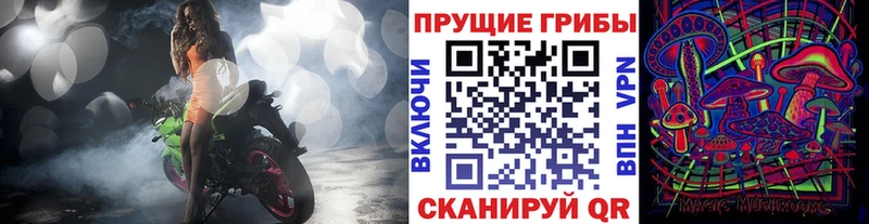 Псилоцибиновые грибы Cubensis OMG вход Лиски