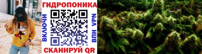 Каннабис индика  omg зеркало  Лиски  продажа наркотиков 